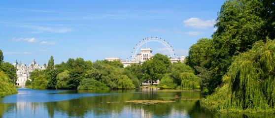 alpadia-london-woldingham-summer-camp-hero