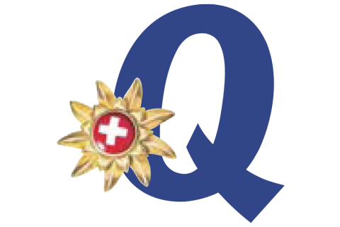 Logo Q